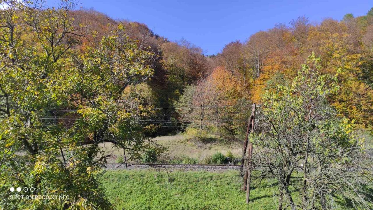 Gorec Yaremche Exterior foto